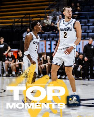 Image post by @calmbball on Instagram