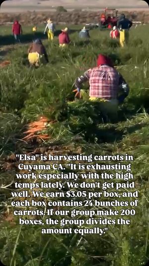 Video post by @cultura_movement on Instagram