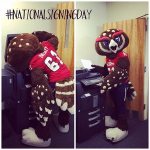 Image post by @fauathletics on Instagram
