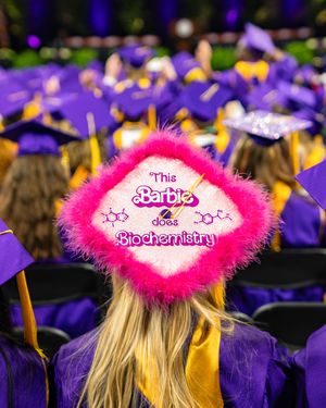 Image post by @jamesmadisonuniversity on Instagram
