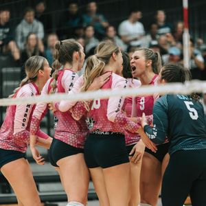 Image post by @saubees on Instagram