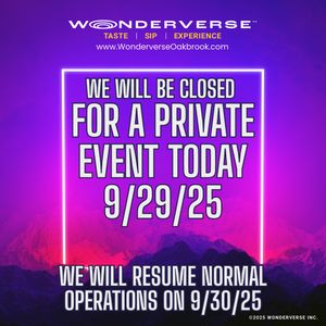 Image post by @wonderversechicago on Instagram
