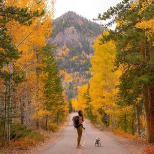 Image post by @topodesigns on Instagram