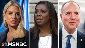 Video post by @msnbc on YouTube