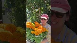 Video post by @carmeninthegarden on YouTube