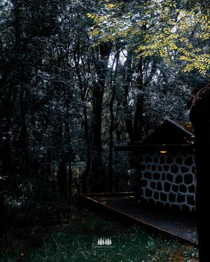 Image post by @iammutluyigit on Instagram
