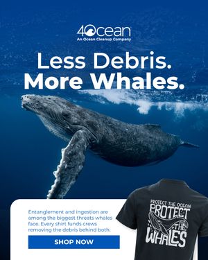 Image post by @4ocean on Instagram