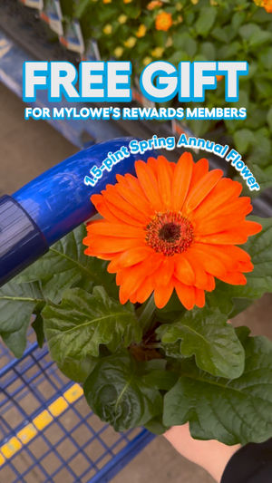 Video post by @lowes on Facebook