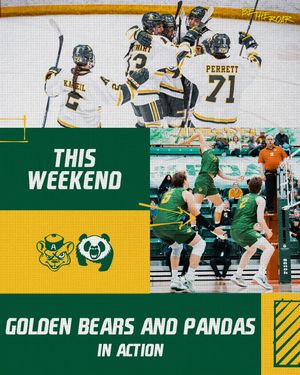 Image post by @bearsandpandas on Instagram