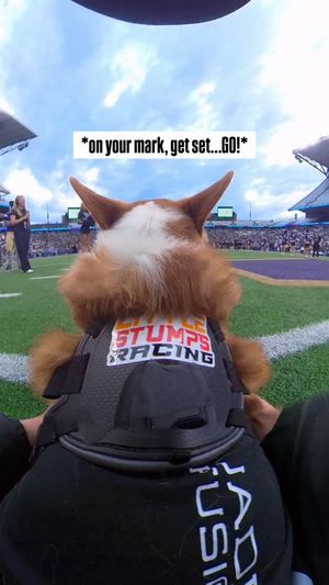 Video post by @littlestumpsracing1 on Facebook