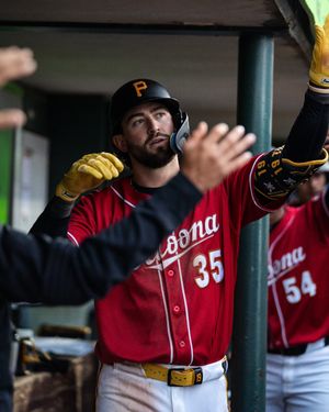 Image post by @altoonacurve on Instagram