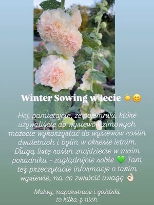 Image post by @garden.goodies.parade on Instagram