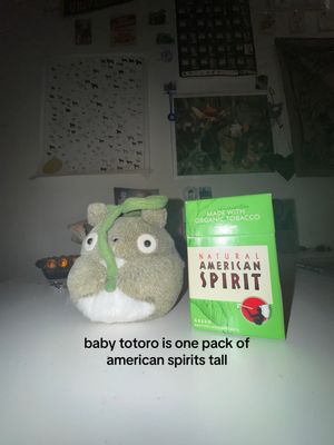 Video post by @evdalesio on TikTok