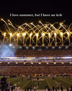 Image post by @steelers_nation_unite on Instagram
