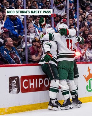 Image post by @minnesotawild on Instagram
