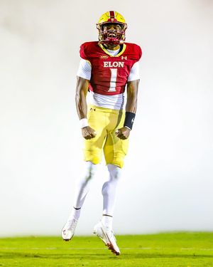 Image post by @elonfb on Instagram