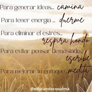 Image post by @educandoconalma on Instagram