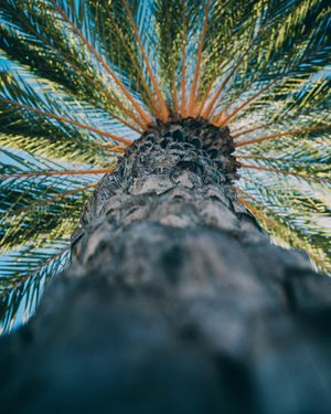 Image post by @keanu.visuals on Instagram