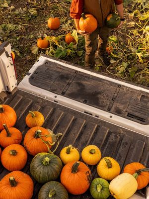 Image post by @weathertech on Instagram