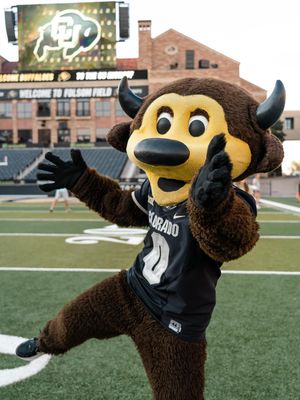 Image post by @cubuffs on Instagram