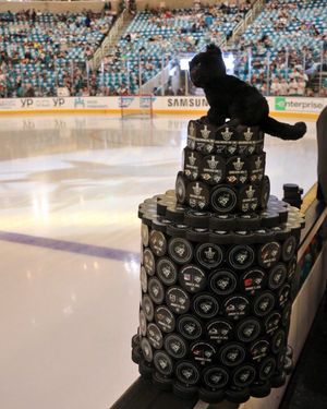 Image post by @sanjosesharks on Instagram
