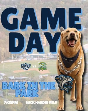 Image post by @ilmsharks on Instagram