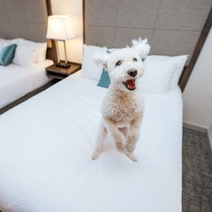 Image post by @bestwestern on Instagram