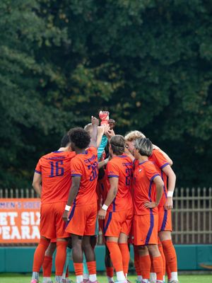 Image post by @cutigervision on Instagram