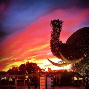 Image post by @sandiegozoo on Instagram