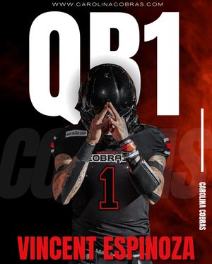 Image post by @carcobras on Instagram