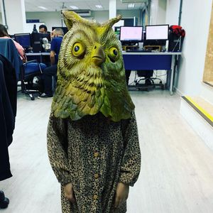 Image post by @arapuanmotta on Instagram