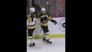 Video post by @flohockey on YouTube
