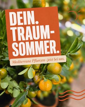 Image post by @oldenburgerwohngarten on Instagram