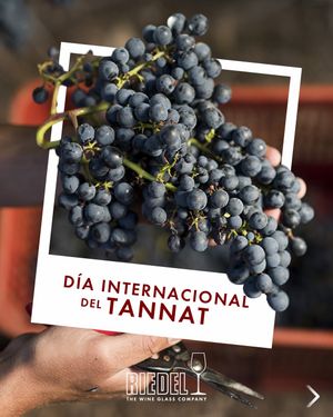 Image post by @riedelpartner_vnzla on Instagram
