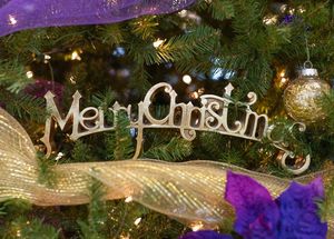 Image post by @UMHB on Twitter