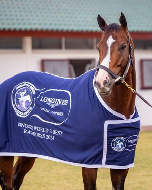 Image post by @juddmonte on Instagram