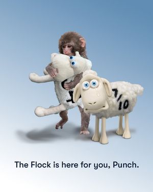 Image post by @serta on Instagram