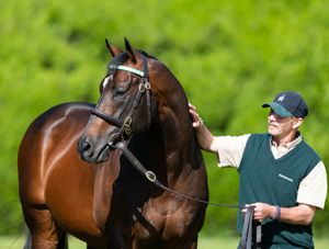 Image post by @juddmonte on Instagram
