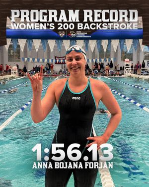 Image post by @bonniesswimdive on Instagram