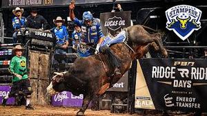Video post by @pbr on YouTube