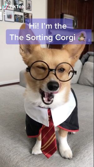 Image post by @aircorg on Instagram