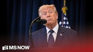 Video post by @msnbc on YouTube