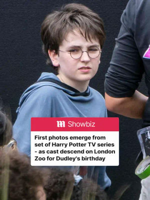 Image post by @dailymailuk on TikTok