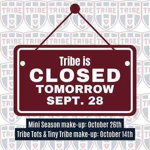 Image post by @mytribevolleyball on Instagram