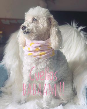 Image post by @babaamstore on Instagram