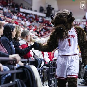 Image post by @hoosierthebison on Instagram