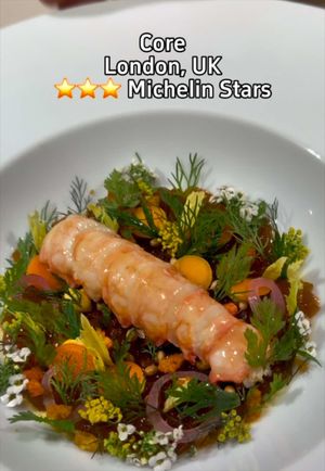 Video post by @highspeeddining on TikTok