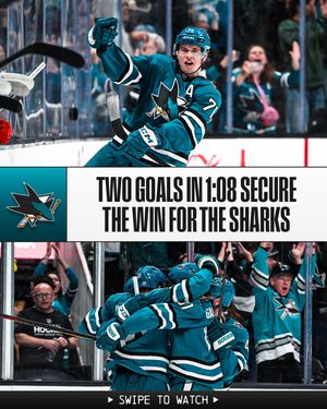 Image post by @nhl on Instagram