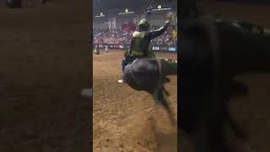 Video post by @pbr on YouTube