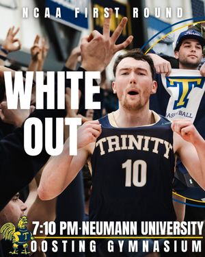 Image post by @trinmbb on Instagram